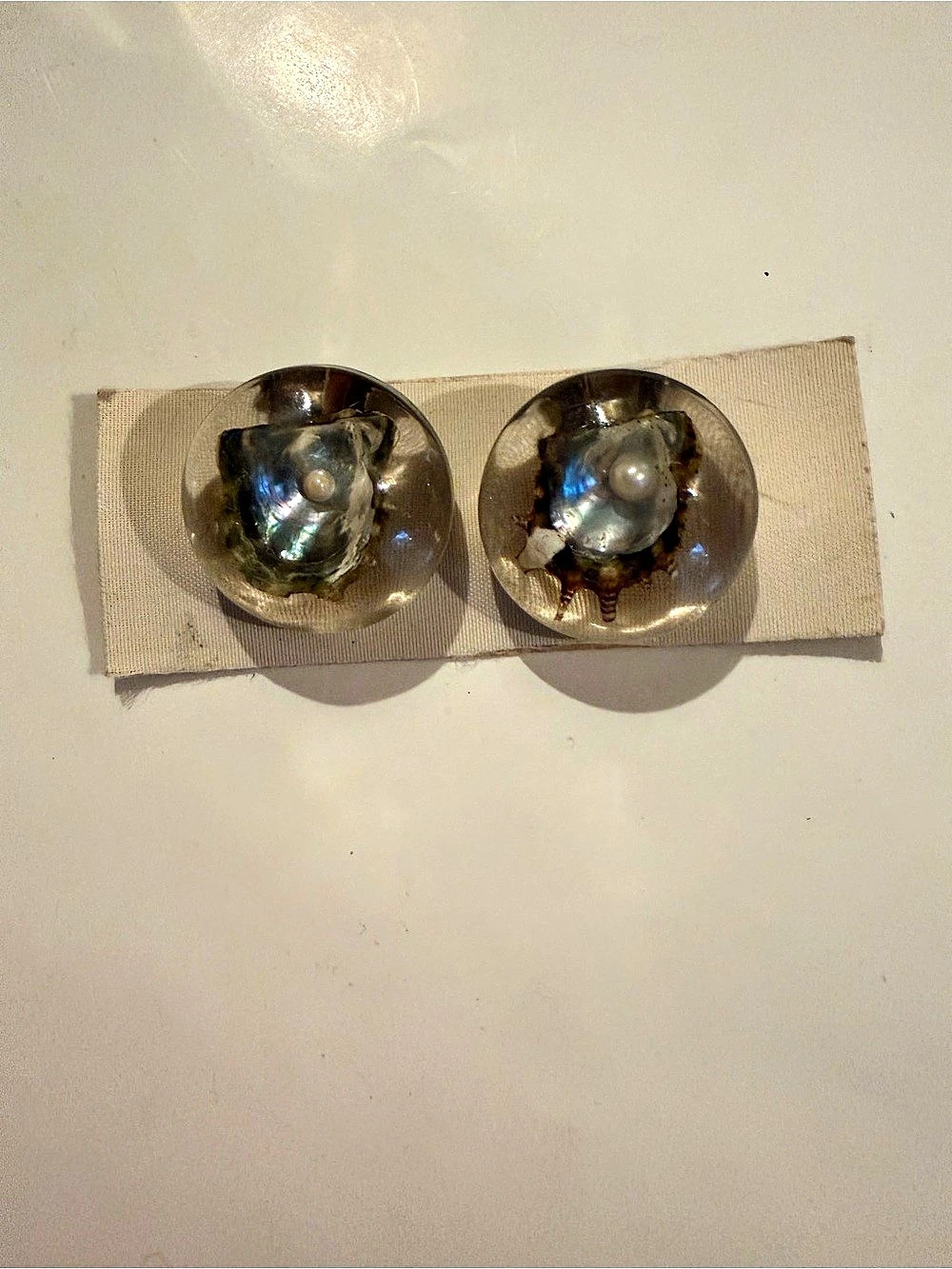 Oyster Shell w/ Pearls Earings